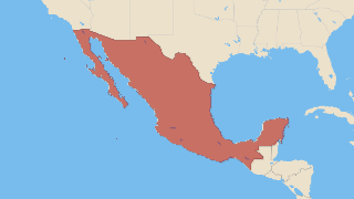 México Thumbnail